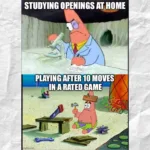 Studying openings at home